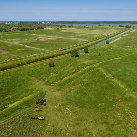 In L Dzin Near Dutch Windmill