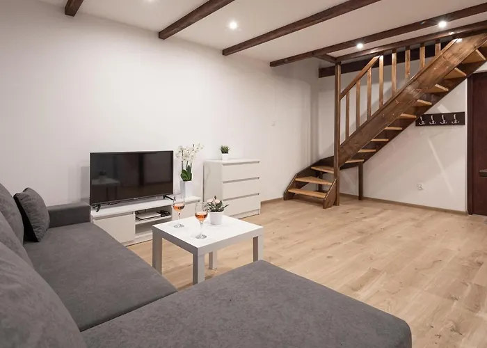 In L Dzin Near Dutch Windmill